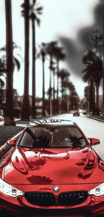 Sleek red BMW with palm line boulevard.