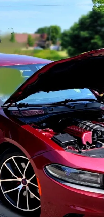 Sleek red car with open hood displaying engine outdoors.
