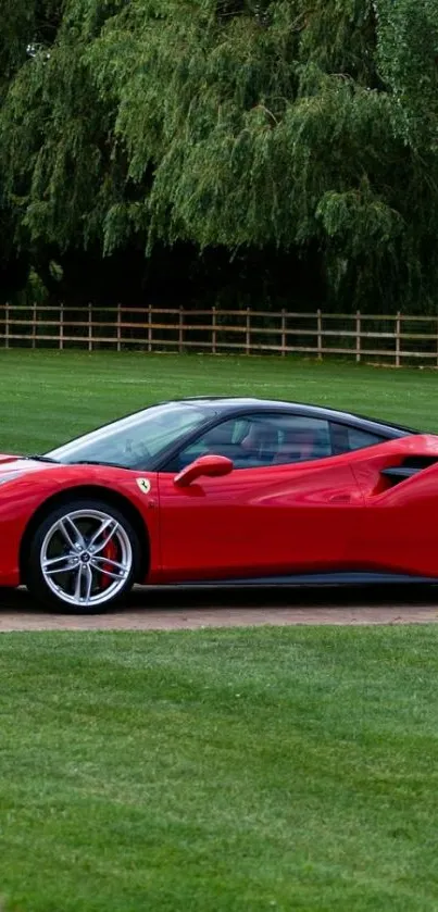 Sleek red sports car on green lawn background.