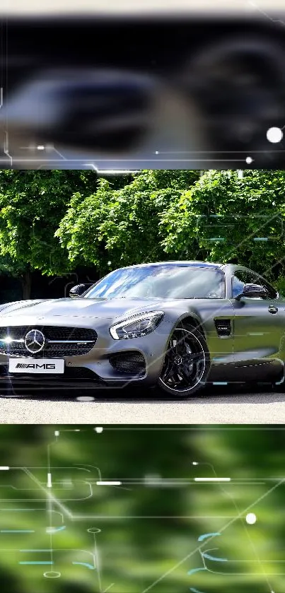 Sleek silver luxury car with green surroundings in bright daylight.