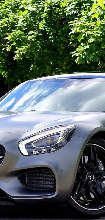 Sleek silver sports car with lush green background.