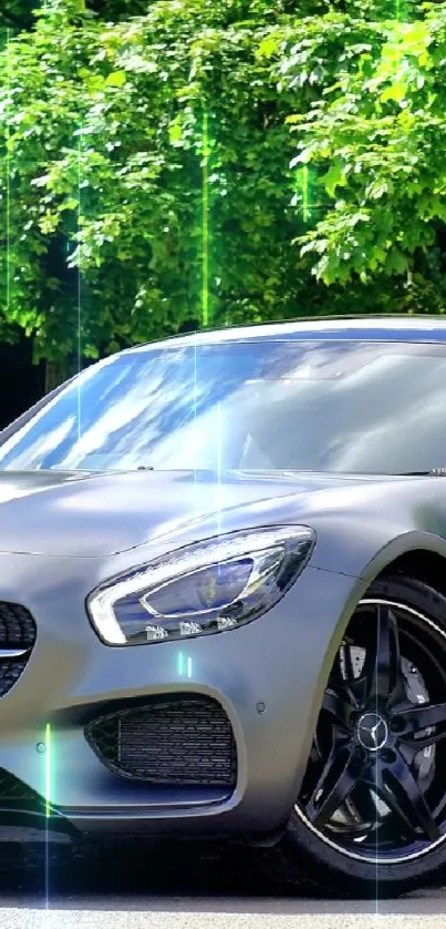 Sleek silver sports car under lush trees in a serene outdoor setting.