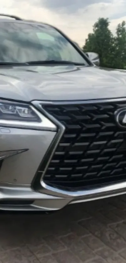 Luxury Lexus SUV with a sleek silver design on a scenic road.