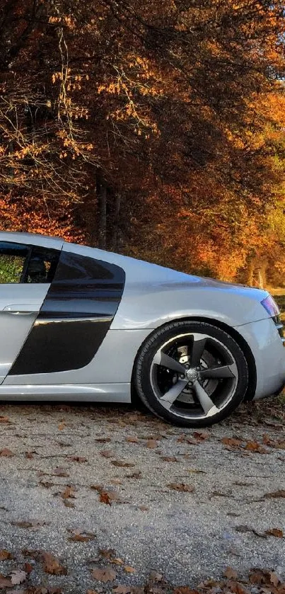 Sleek sports car set against vibrant autumn trees and leaves.