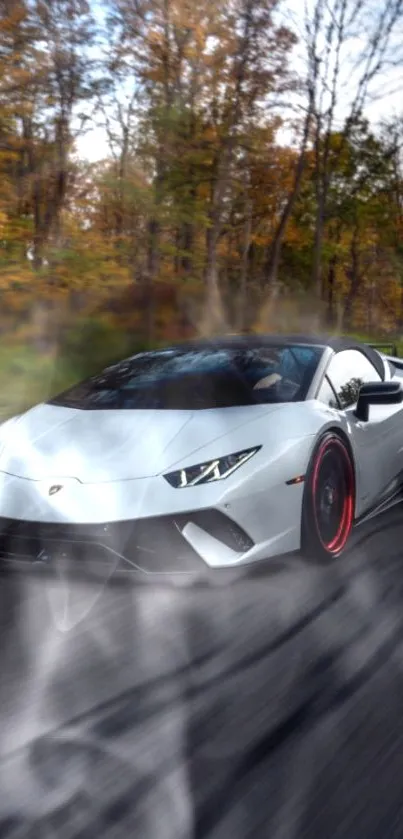 Sleek white sports car driving through autumn forest.