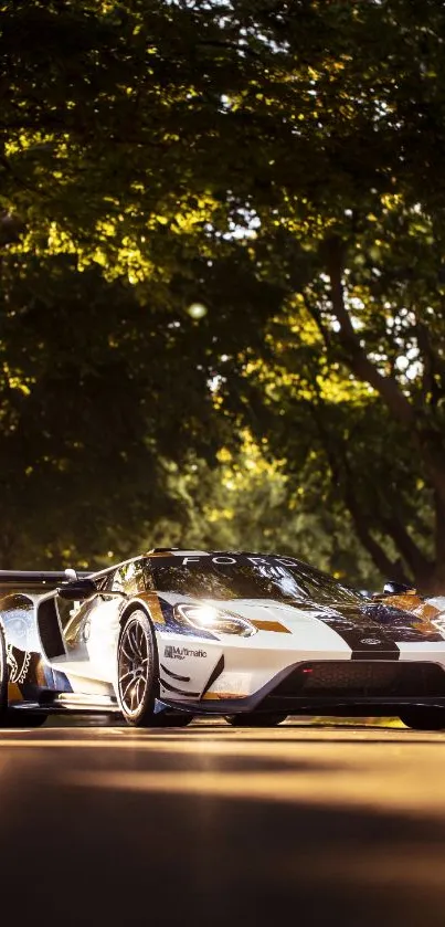 Sleek sports car parked on a sunny road with lush green trees in the background.