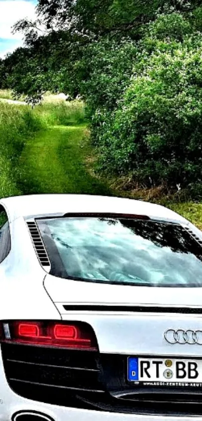 Sleek sports car driving through lush green countryside.