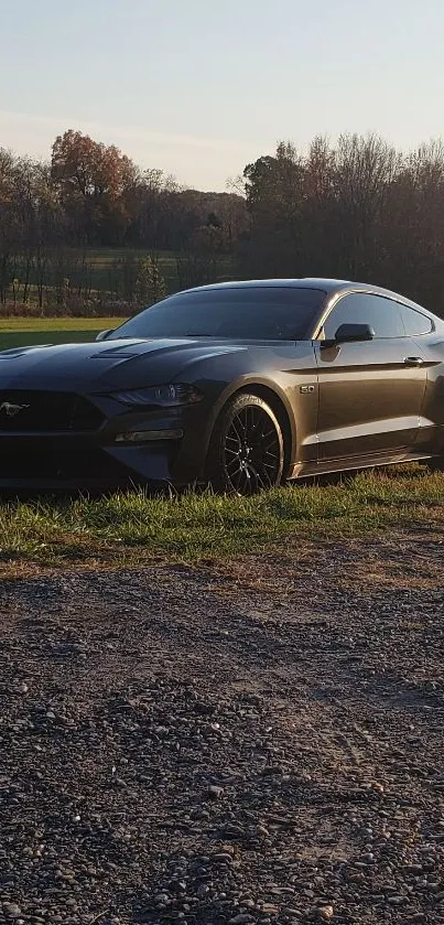 Sleek gray sports car parked in nature with a stunning backdrop.