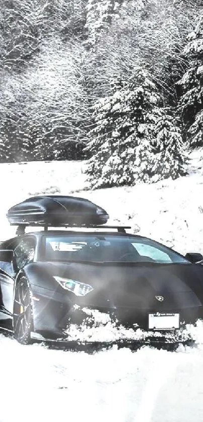 Black sports car on snowy forest road, capturing elegance and adventure.