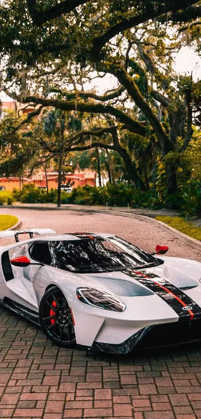 White supercar parked on a scenic tree-lined road with vibrant greenery.