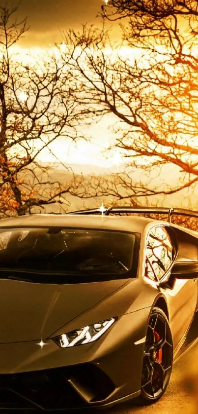 Sleek sports car at sunset among trees.