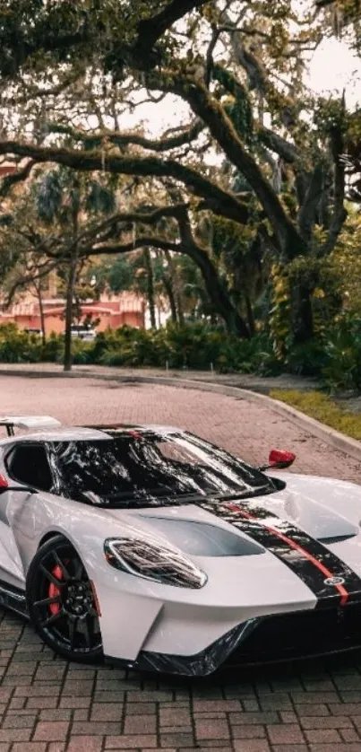 Sleek white sports car on a brick road under trees.