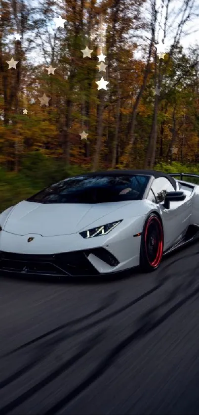 Sleek sports car speeding on an autumn road.