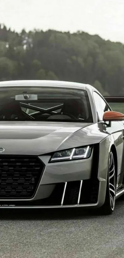 Sleek silver sports car with forest backdrop.