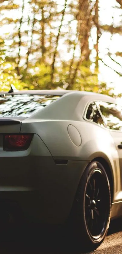 Olive green sports car parked on a forest road with sunlight filtering through.