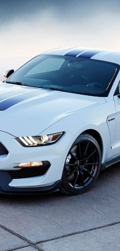 White sports car with blue racing stripes on a sleek driveway.