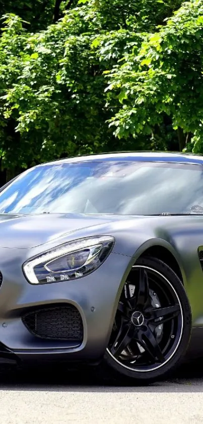 Sleek matte black sports car with lush green background.