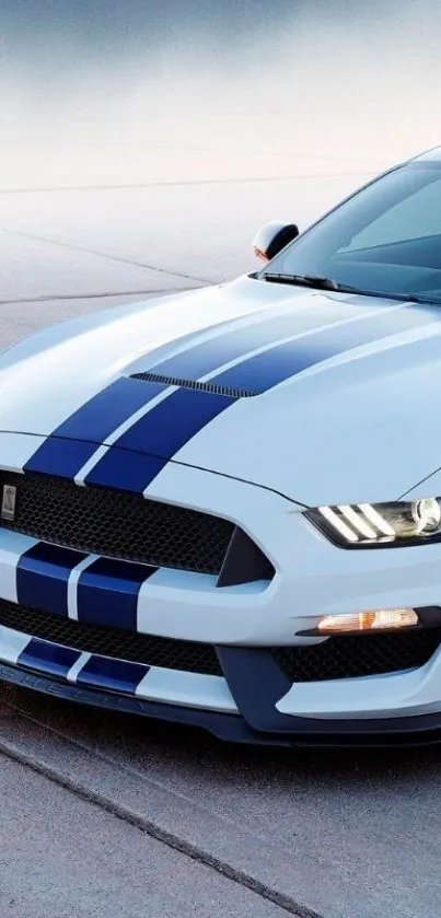 Sleek white sports car with blue racing stripes on pavement.