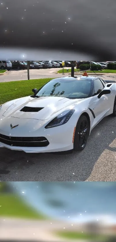 White sports car parked on a sunny day.