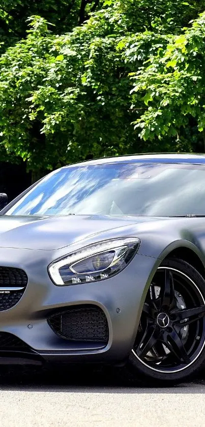 Sleek sports car with greenery background on wallpaper.