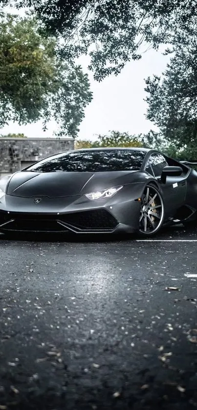 Sleek gray sports car parked under trees in a scenic setting.