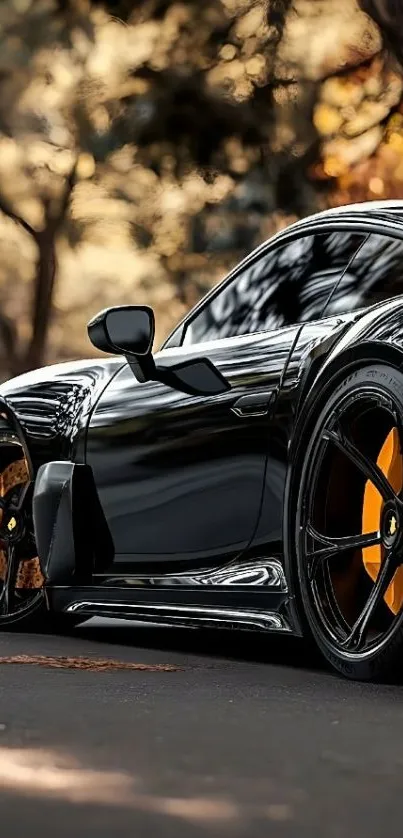 Sleek black sports car set against a scenic background.