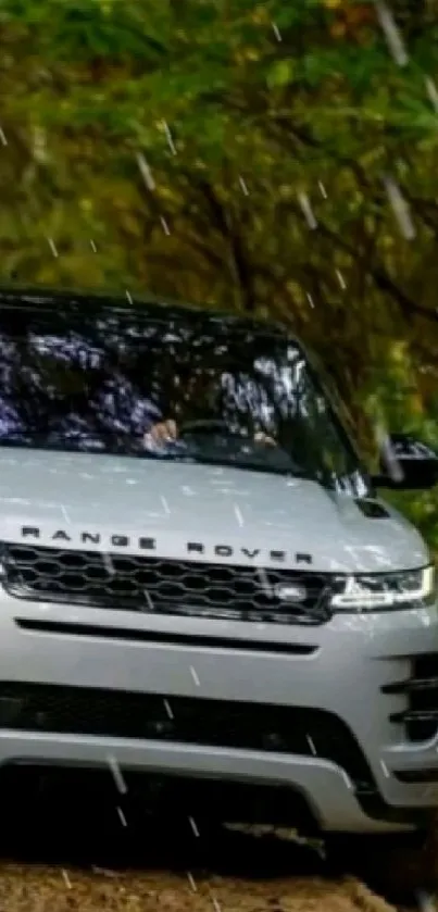 SUV driving through a lush green forest trail.