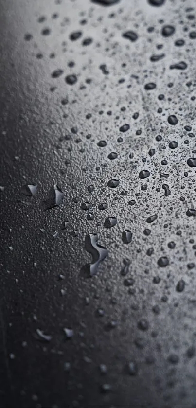 Raindrop texture on dark surface wallpaper.