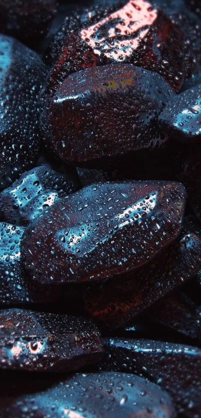 Water droplets on dark glossy stones for wallpaper.