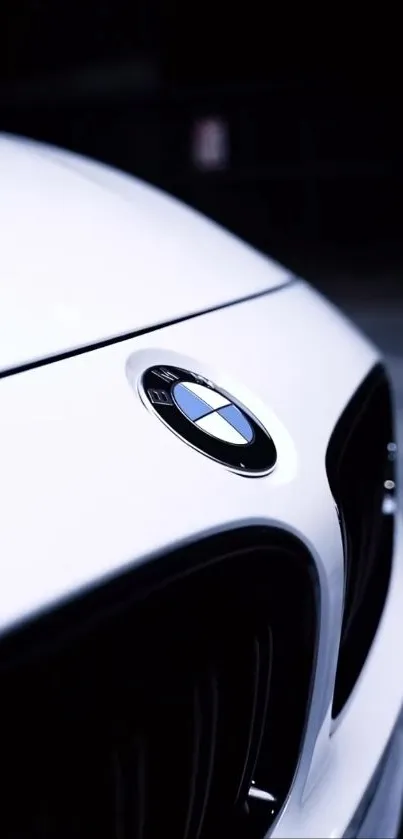 Close-up of a sleek car emblem design in focus.