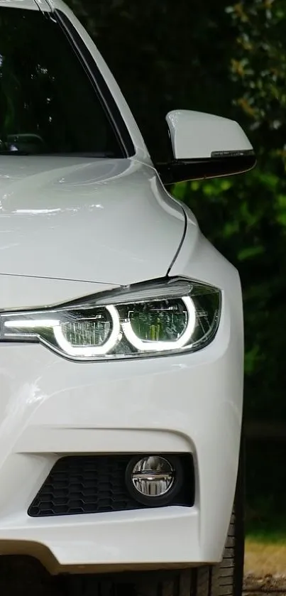 Sleek white car with shining headlights against a leafy background.