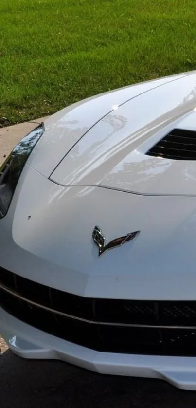 Luxury white sports car parked on pavement.