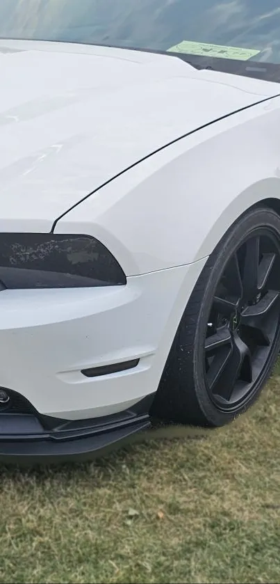 Sleek white car with black wheels on grass.