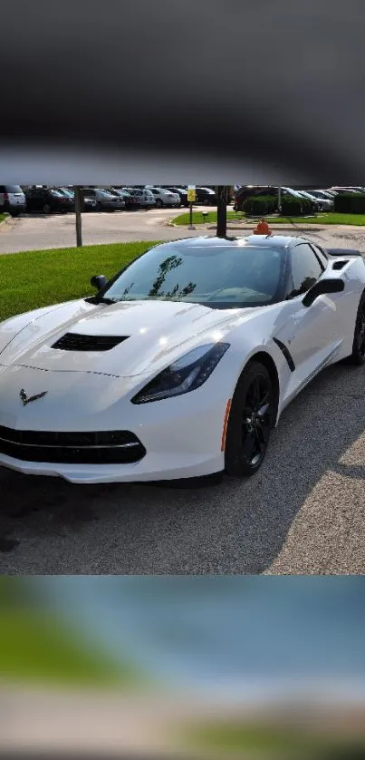 White sports car parked on street with black accents in daylight.