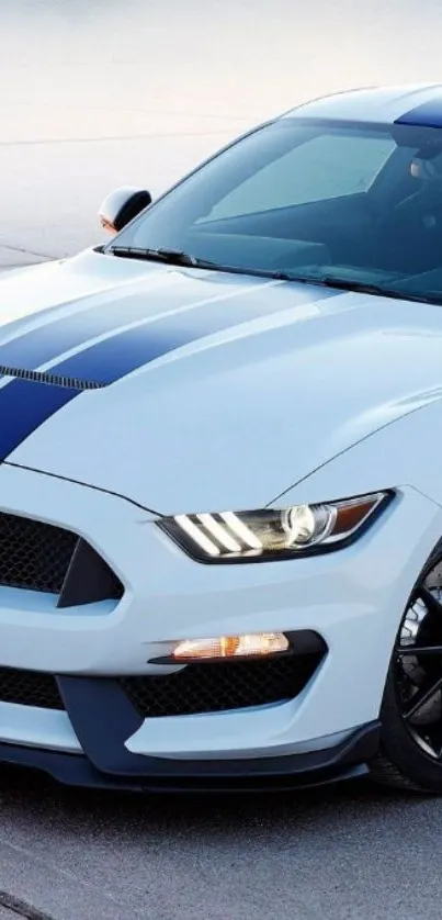 Sleek white sports car with blue racing stripes on a smooth pavement.