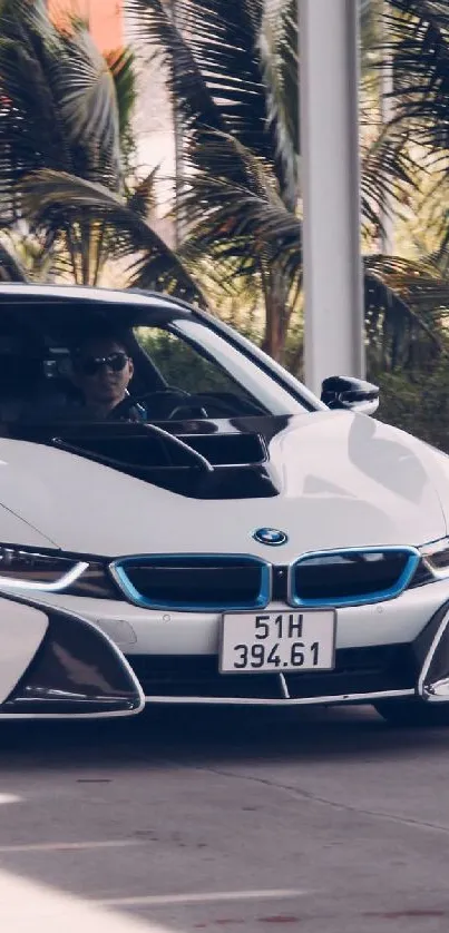 Sleek white sports car parked under palm trees.