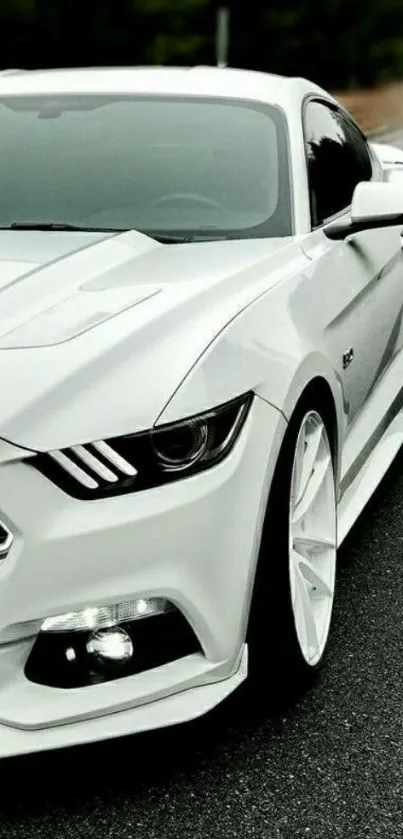 White sports car on road with sleek design