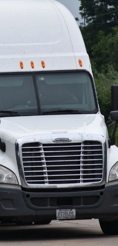 White truck driving on a highway surrounded by trees.