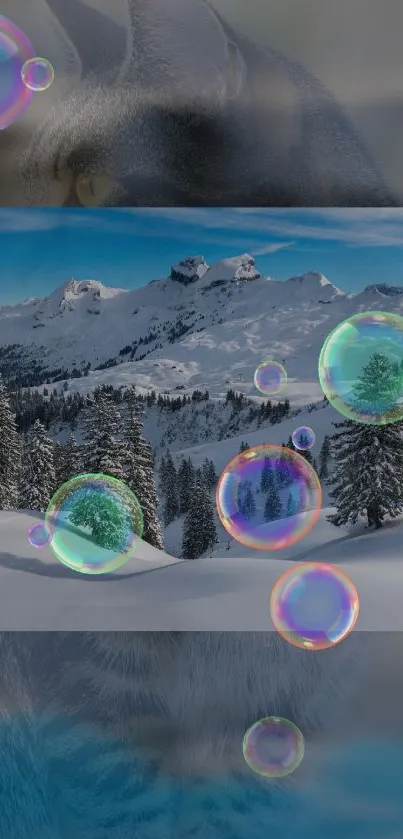 Wallpaper with bubbles over a snowy mountain scene and a cat blending in.