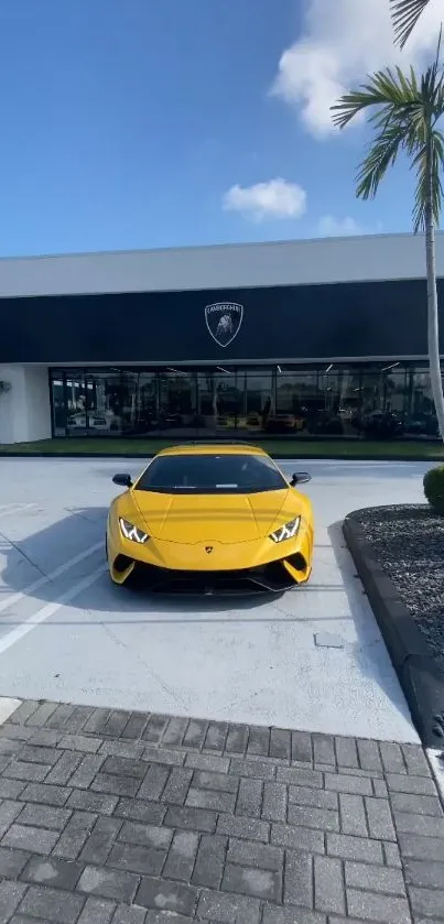 Sleek yellow sports car in showroom with palm trees.