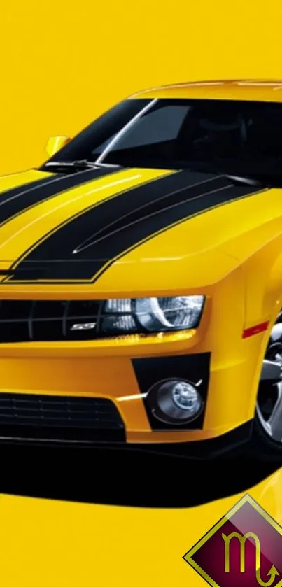 Yellow sports car with black stripes on a bright background.