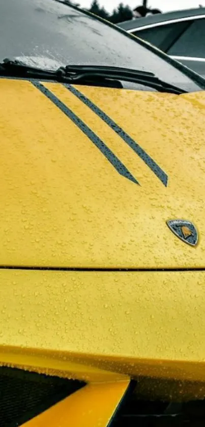 Yellow sports car hood with raindrops closeup.