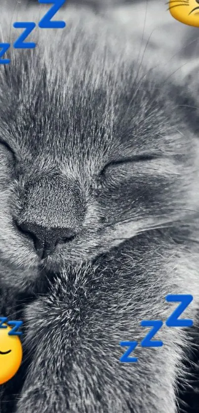 Sleeping gray cat with emojis on phone wallpaper.