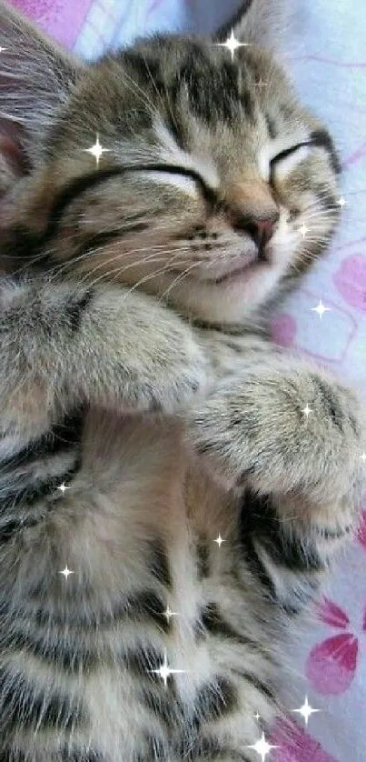 Sleeping tabby kitten on pink floral blanket, perfect for mobile wallpaper.