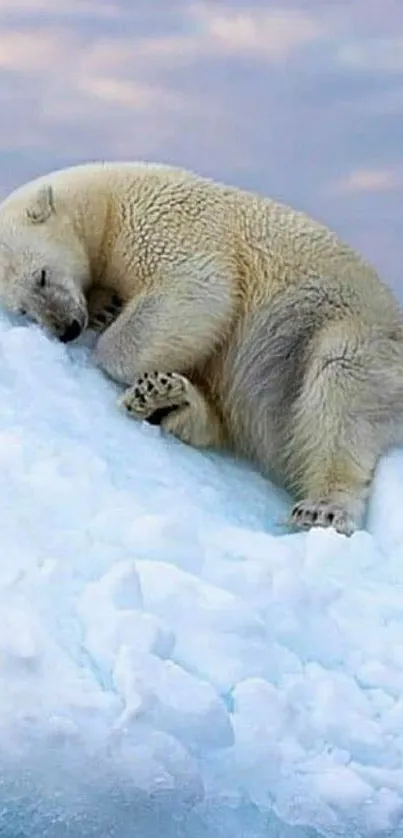 Sleeping polar bear on icy landscape under soft pastel sky.