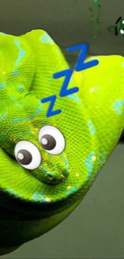 Cartoon snake sleeping with animated eyes on green branch.