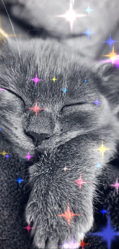 Adorable sleepy gray kitten nestled on soft blankets.