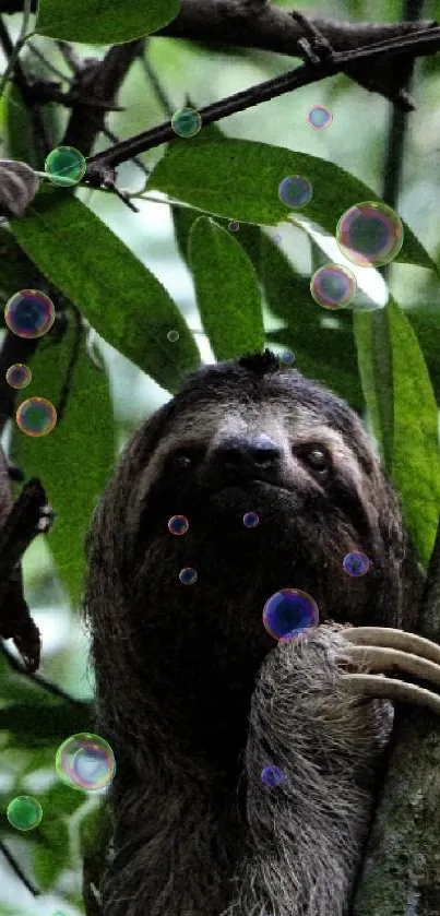 Sloth relaxing on tree amidst lush green forest.