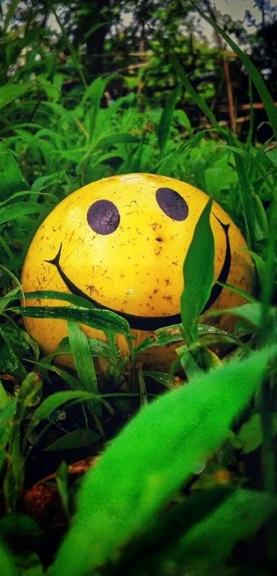 Smiley face nestled in green grass, vibrant wallpaper.