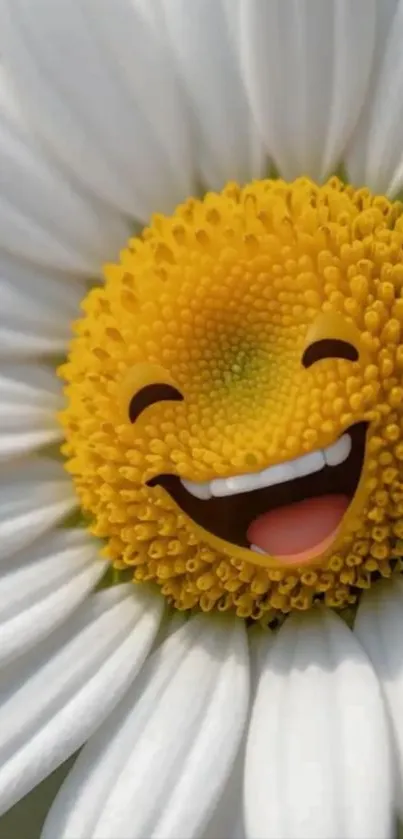 Smiling daisy flower with a happy face and white petals.